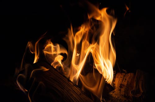 Foto stok gratis api unggun, gelap, kayu bakar