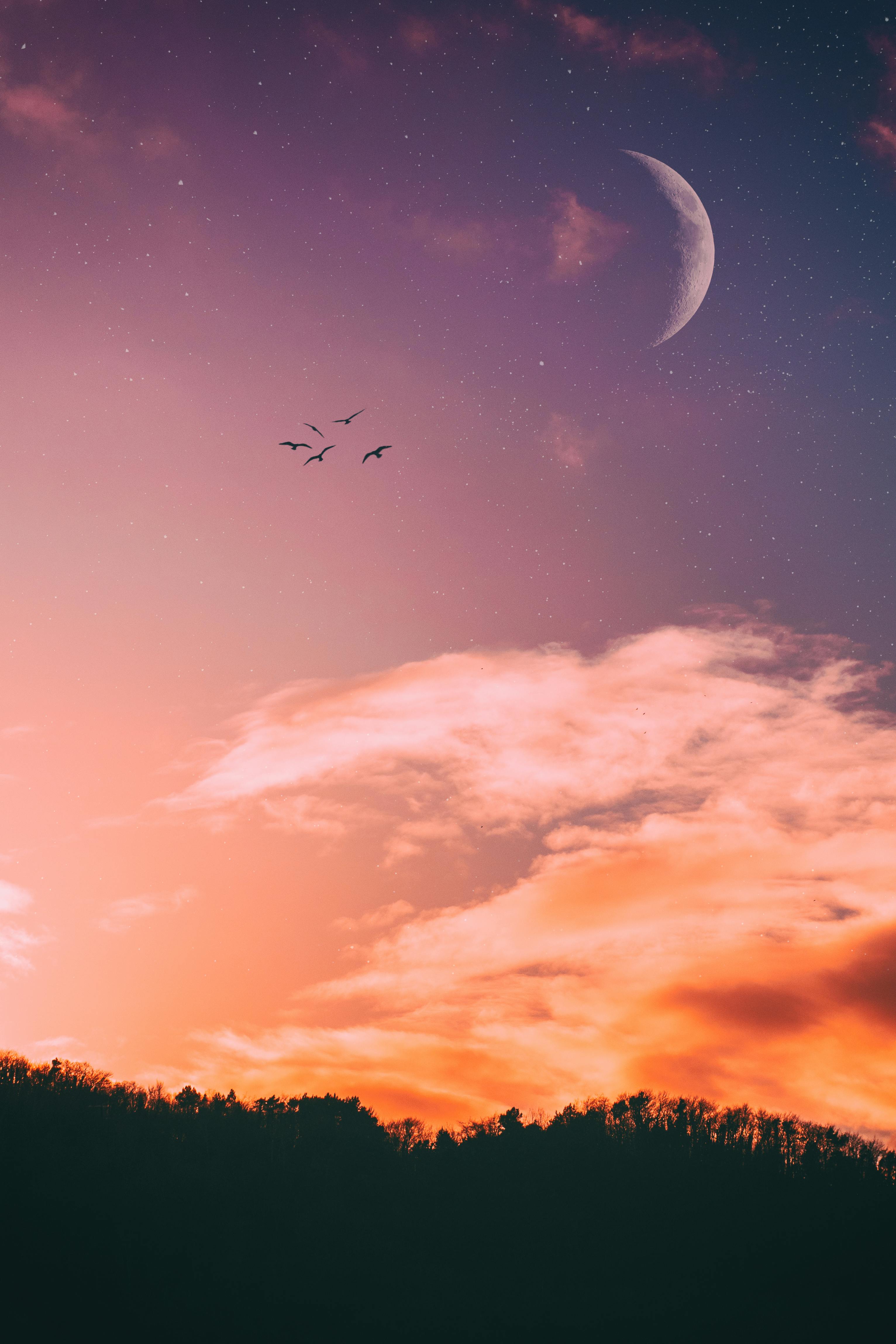 550 Aesthetic Sky Pictures  Download Free Images on Unsplash