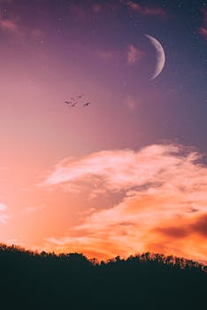 A picturesque sunset with a crescent moon and flying birds creates a serene and captivating sky scene.