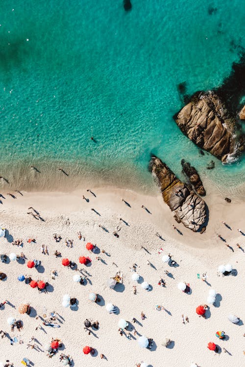 Aerial view of beach with people and umbrellas