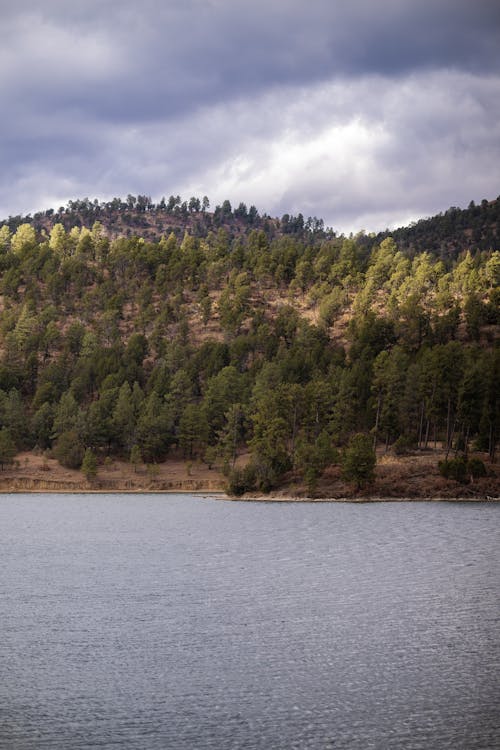 Photo of a Lake and a Hill 