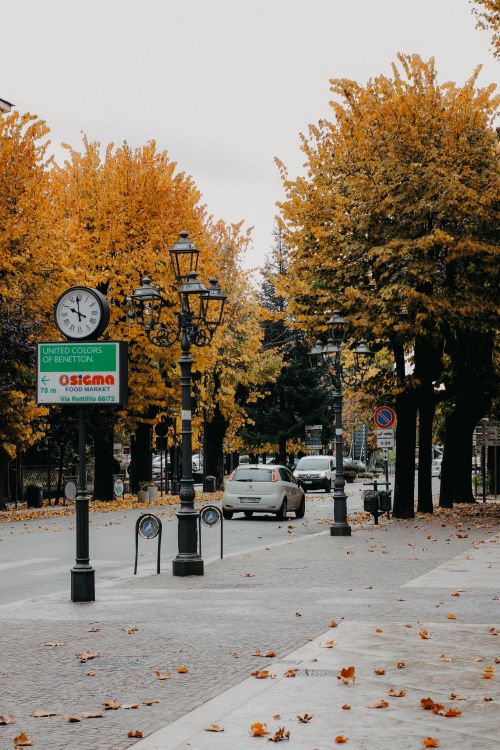 Free Idyllic city street scene in autumn with colorful foliage, visible clock, and empty roads. Stock Photo
