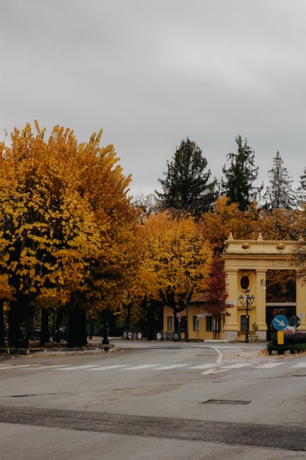 A picturesque city street lined with vibrant autumn trees beside a historic building.