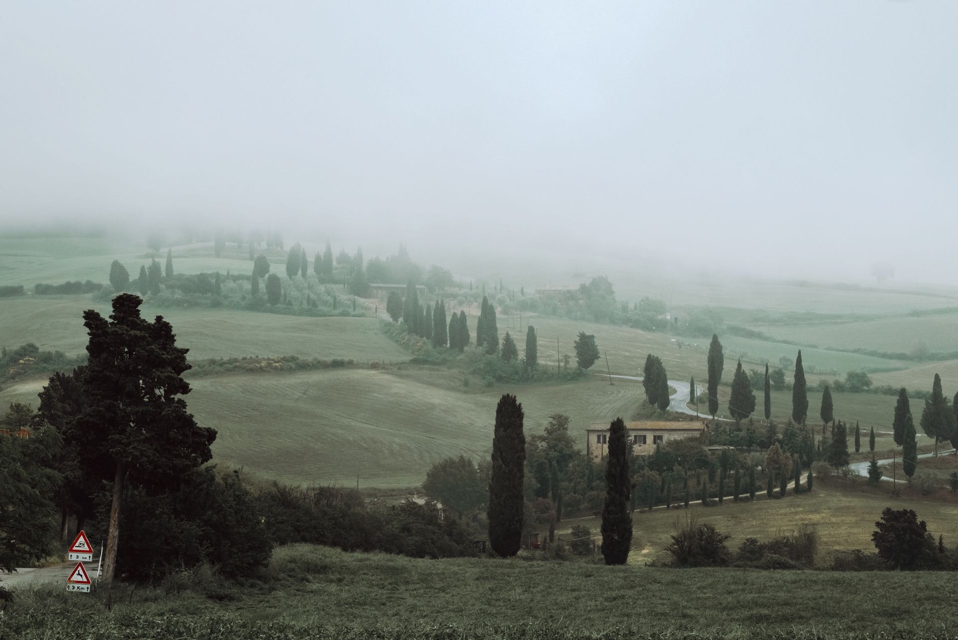 Serene rural landscape featuring misty hills and iconic cypress trees in the countryside.