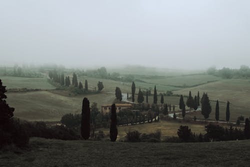 Landscape of Fields in the Countryside in Fog 