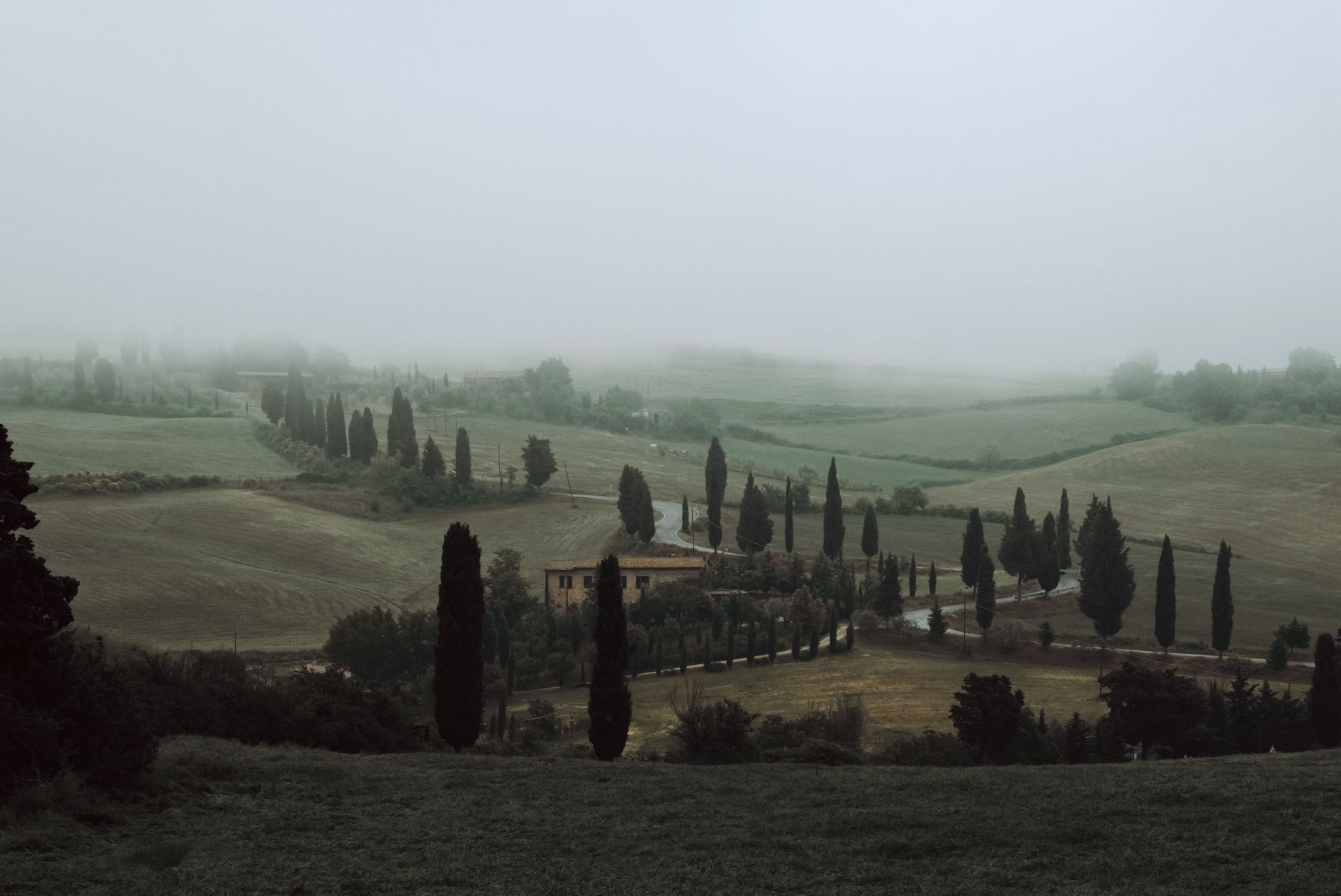 A foggy landscape featuring cypress trees and rolling hills in the Italian countryside.