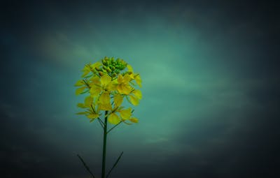 听窗外的雨声说说心情 