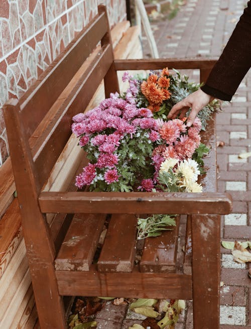 Photos gratuites de banc, bouquet de fleurs, chrysanthème