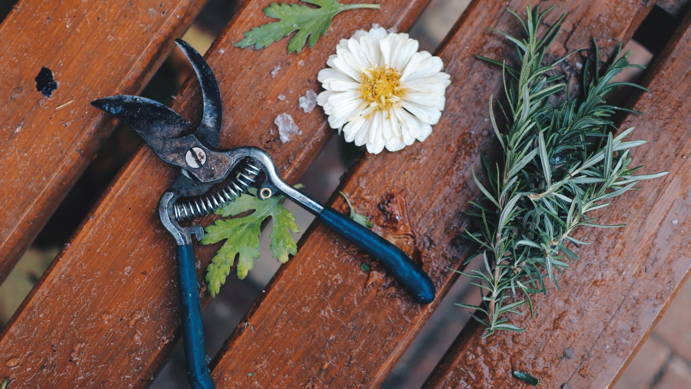 The Garden Tools Every Gardener Actually Needs (and the Junk)