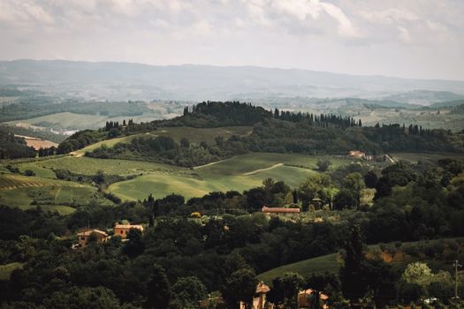 Lush rolling hills and trees in Tuscany, capturing a serene rural landscape.