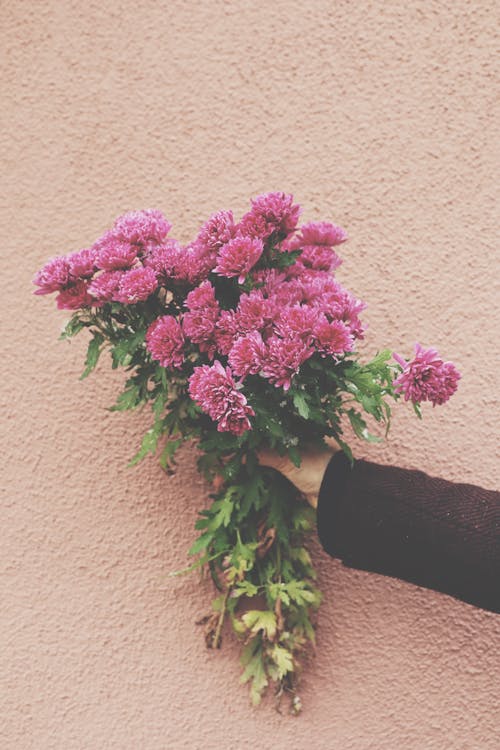 Bouquet of Chrysanthemums in Hand