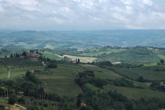 view