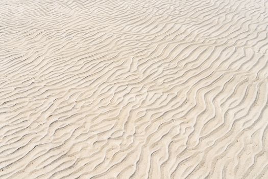 Close-up of rippled sand patterns illuminated by the sun, showcasing natural textures and beach vibes.
