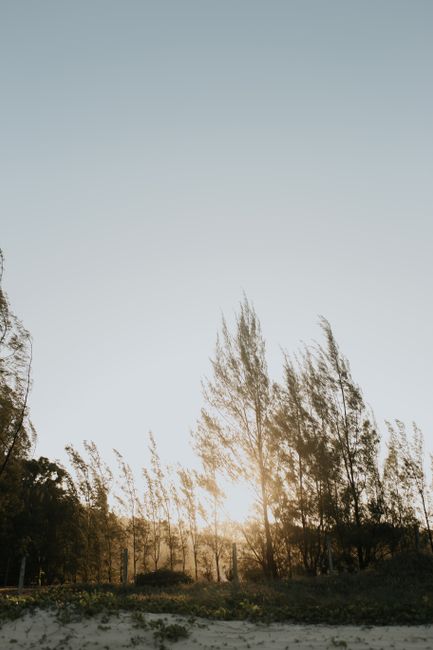 Captivating view of sun rays filtering through tall trees in a peaceful outdoor setting during sunset.