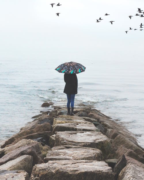 拿著雨傘站在海邊岩石小徑上的人