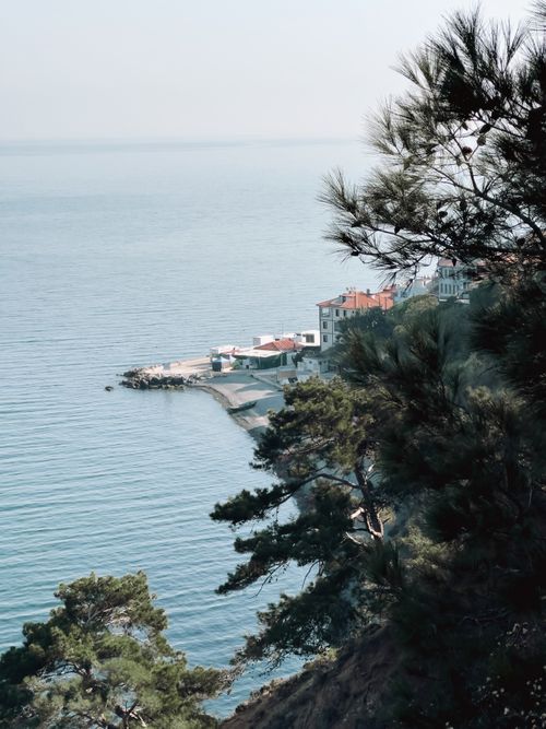 Free A tranquil seaside landscape featuring pine trees and coastal architecture. Stock Photo