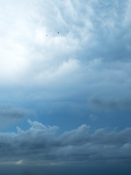 Cloudscape and Birds in the Sky