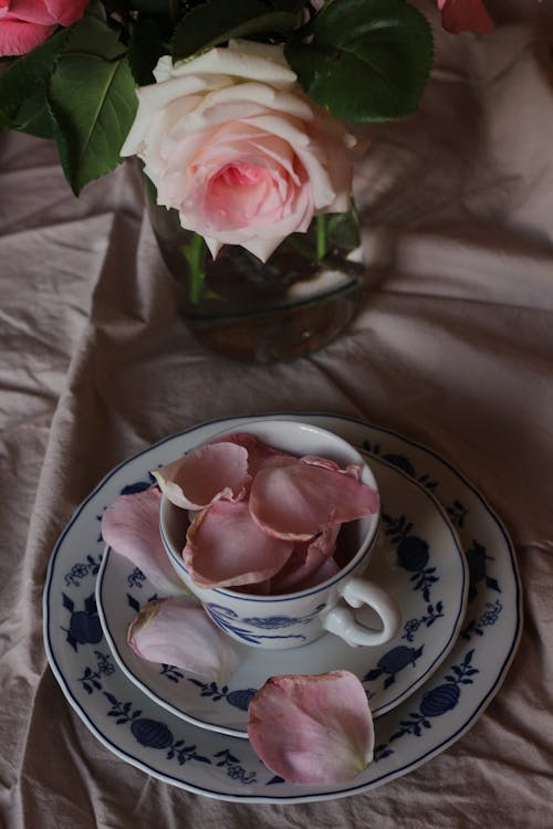 Pink Petals in Porcelain Cup
