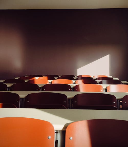 Gratis lagerfoto af auditorium, klasseværelse, lodret skud