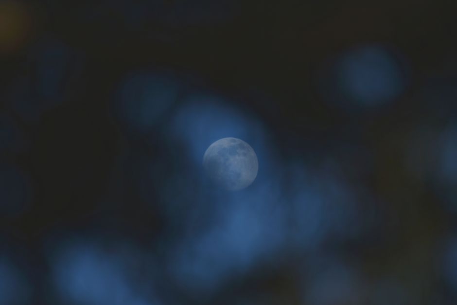 Previziuni Meteo pentru Prima Lună de Frunze Ruginii și Temperaturi Sub Media Perioadei