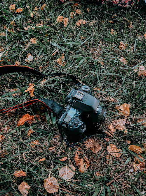 Dslr Camera on Grass