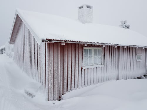 Gratis lagerfoto af december, frossen, frost