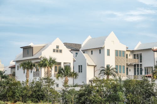 Palm Trees by Houses