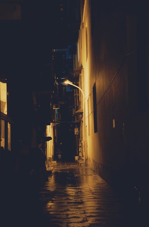 Základová fotografie zdarma na téma městský, mokrý, noc