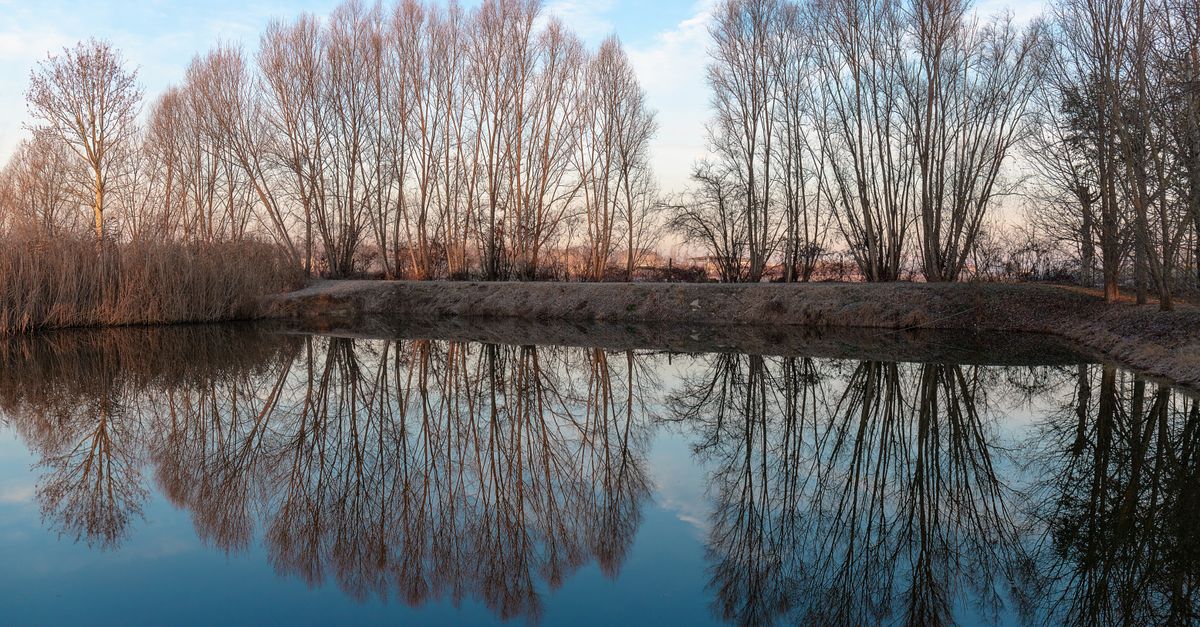 5 Méthodes pour Méditer en Plein Air et Trouver la Sérénité