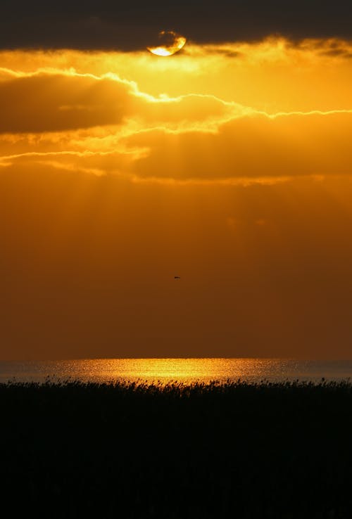 бесплатная Бесплатное стоковое фото с багровое небо, вертикальный выстрел, вечер Стоковое фото