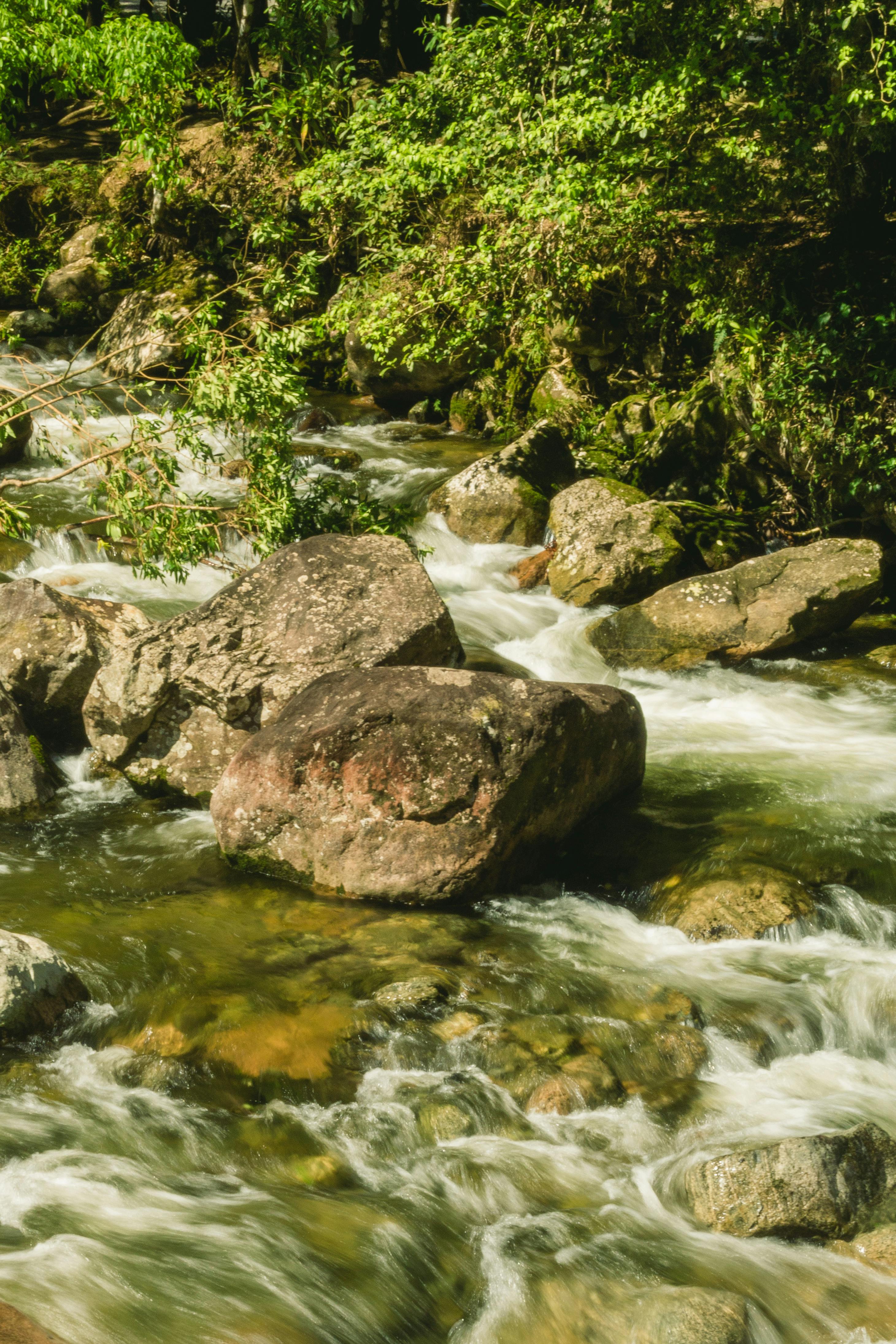 View of a Rocky Stream in the Mountains · Free Stock Photo