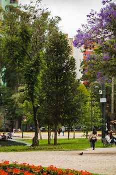 Vibrant summer park scene with trees, flowers, and people strolling through an urban setting.