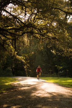 A person on a bicycle rides through a sun-dappled path in a lush park, surrounded by tall trees.