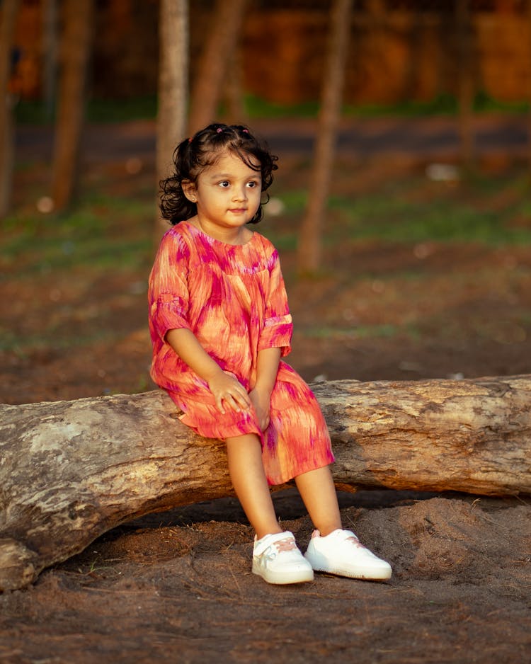 Little Girl Sitting On A Log 