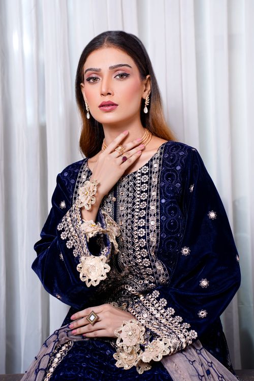 Free Elegant portrait of a woman in a richly embroidered dress with intricate jewelry, showcasing Pakistani fashion. Stock Photo