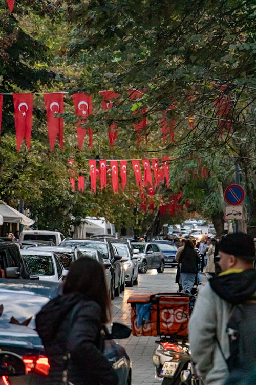 土耳其, 土耳其国旗, 垂直拍摄 的 免费素材图片
