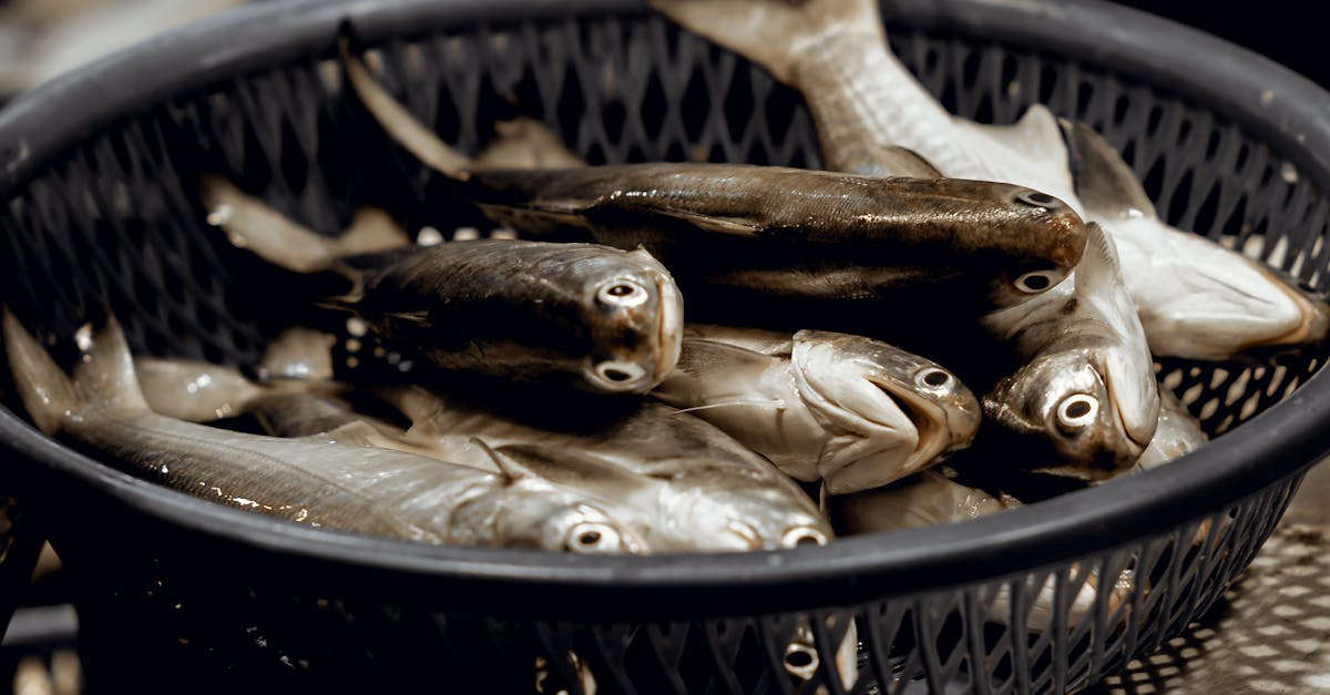 財經:股市與債市發出數十年一見的警告!標普500可能迎來重大變