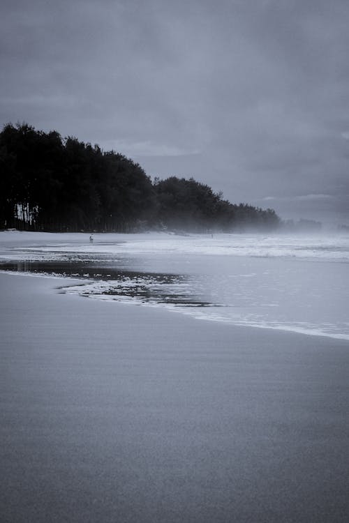 Black and White Photo of Sea and Beach 