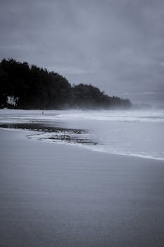 Serene misty beach with trees and foggy horizon, creating a tranquil coastal scene.