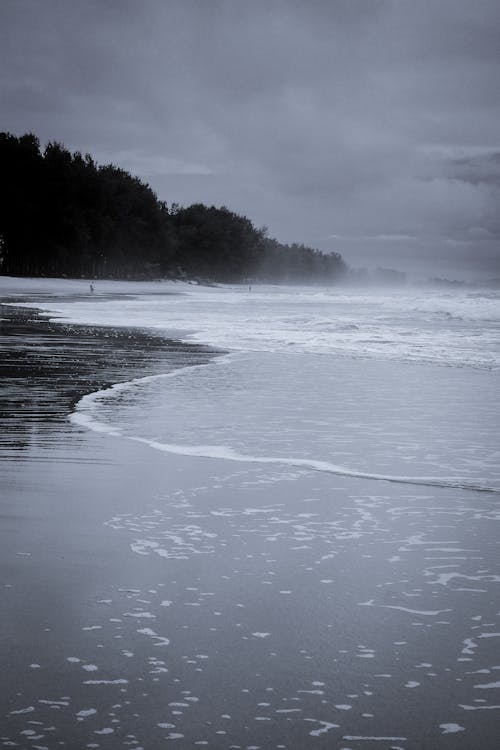 Black and White Shot of Sea and an Empty Beach on a Foggy Day 