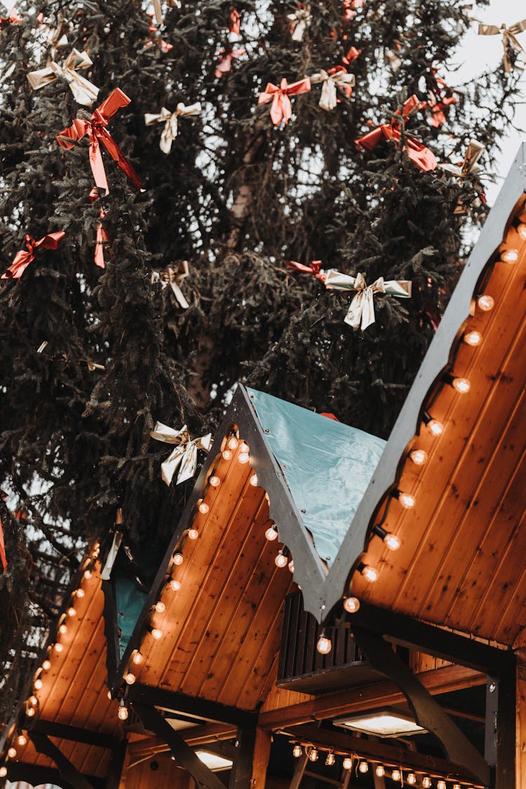 Trees And A Building Roof Decorated With Christmas Lights And Ornaments 