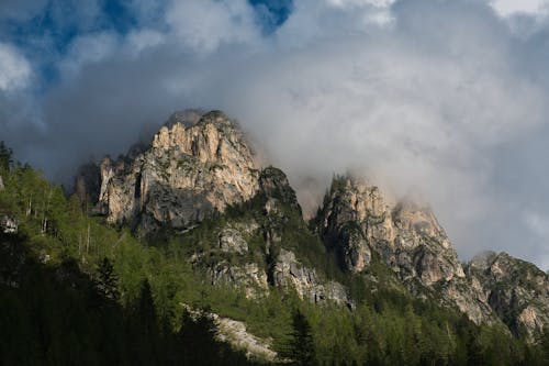 Clouds over Forest in Mountains