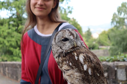 Free A Woman Standing next to an Owl  Stock Photo