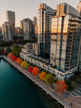 Aerial view of Vancouver cityscape highlighting autumn foliage along the waterfront.
