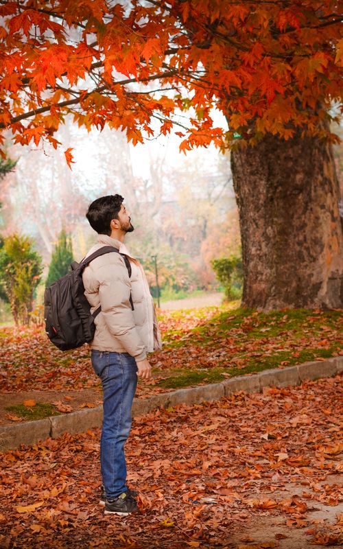 Free Man with a backpack gazing at vibrant autumn leaves in a serene park setting. Stock Photo