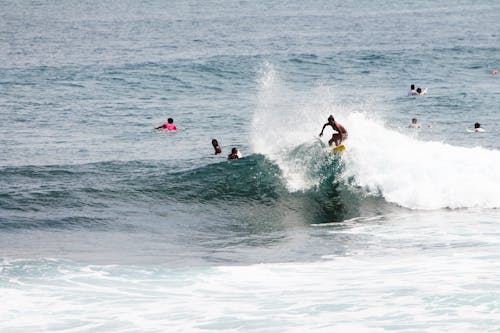 Tourists Learning to Surf in the Sea