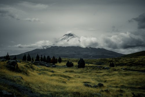 Scenic View of a Field with Trees and a Snowcapped Mountain with the Peak between Clouds 