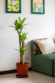 Bright living room featuring a lush potted plant and colorful wall art.
