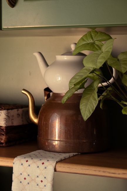 Charming still life composition with teapots and lush houseplant on a kitchen countertop.