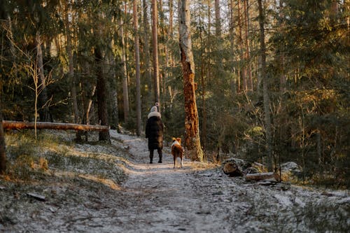 Woman with Dog on Footpath in Forest